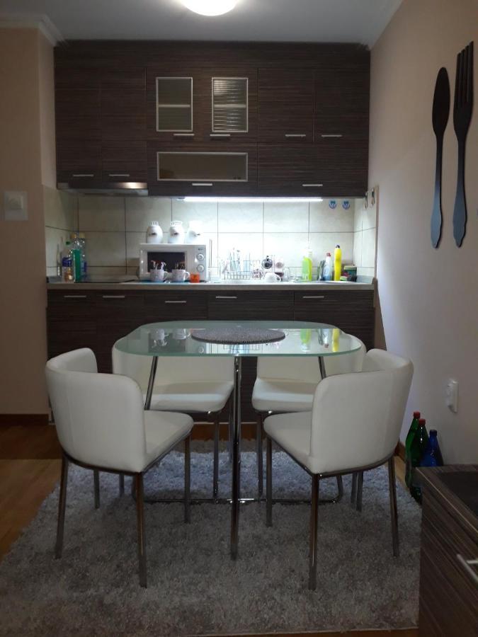 Apartman Jovanovic Vrnjačka Banja المظهر الخارجي الصورة