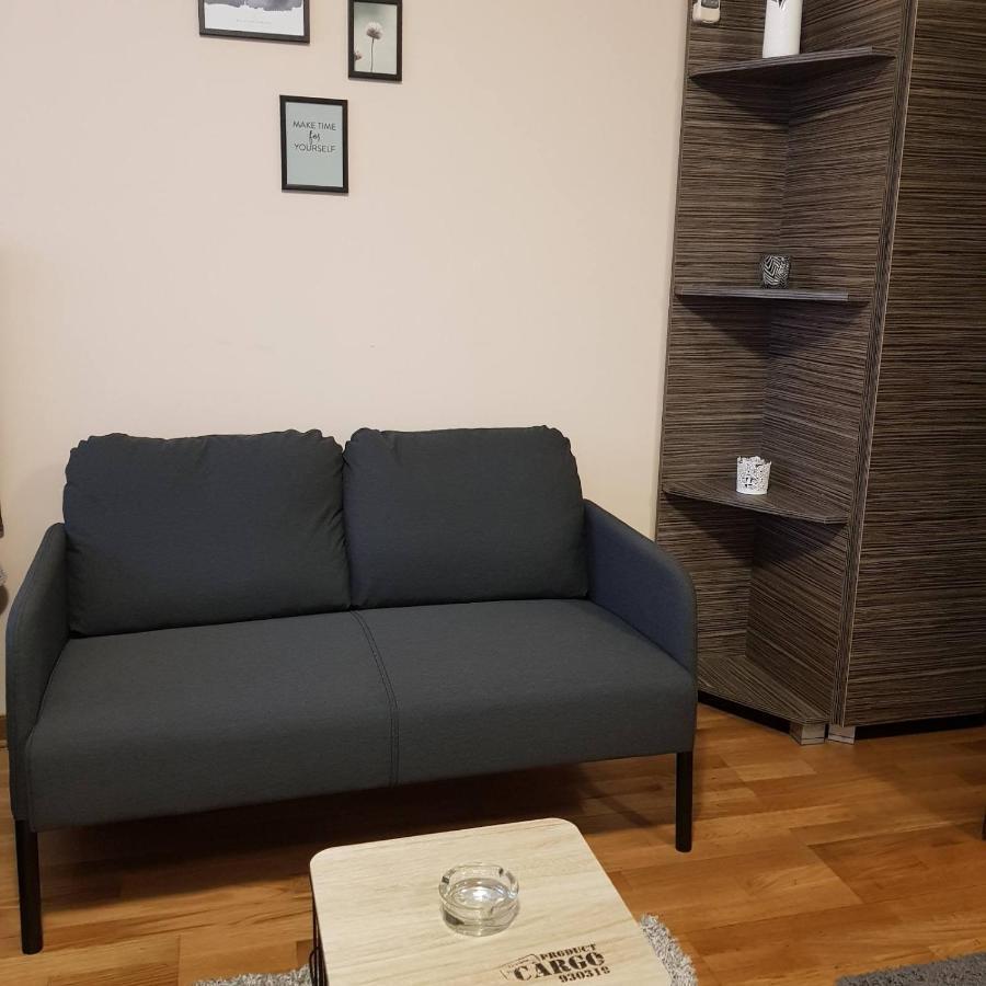 Apartman Jovanovic Vrnjačka Banja المظهر الخارجي الصورة