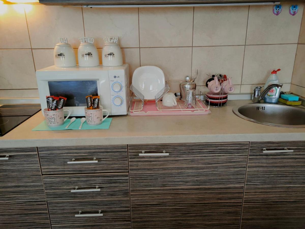Apartman Jovanovic Vrnjačka Banja المظهر الخارجي الصورة