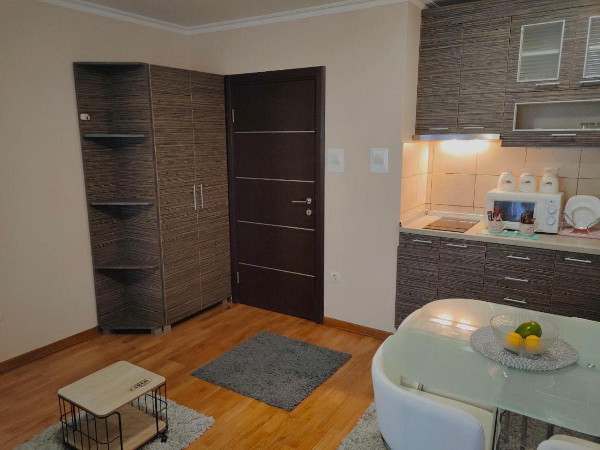 Apartman Jovanovic Vrnjačka Banja المظهر الخارجي الصورة